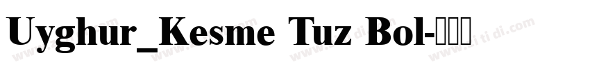 Uyghur_Kesme Tuz Bol字体转换